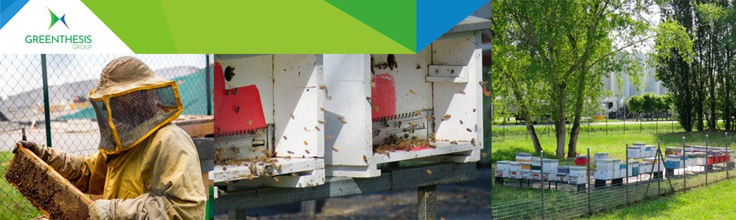 Gli impianti di Barricalla e di GEA - società partecipate del Gruppo Greenthesis - scelgono le api come bioindicatori di salubrità